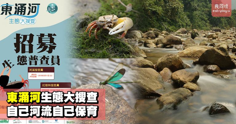東涌河生態大搜查 自己河流自己保育