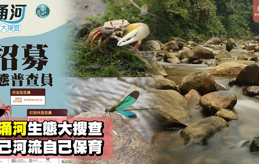 東涌河生態大搜查 自己河流自己保育